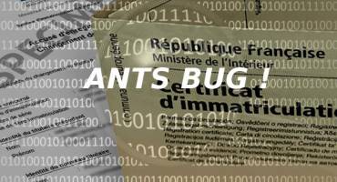 Bug ANTS
