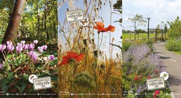Concours Maisons et Balcons Fleuris 2018