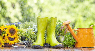 Jardinage