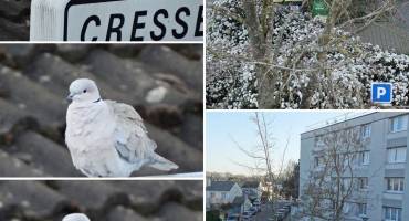 Concours photo "Magny-les-Hameaux de ma fenêtre"
