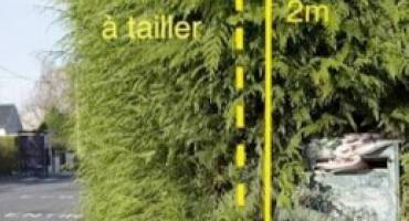 Taillez vos haies