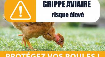 Grippe aviaire