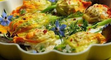 Fleurs de courgettes facies