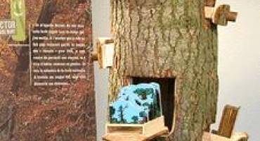 Hector l'arbre mort