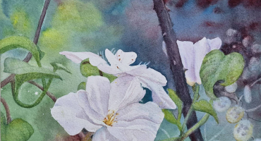 EAUX ET LAVIS 27