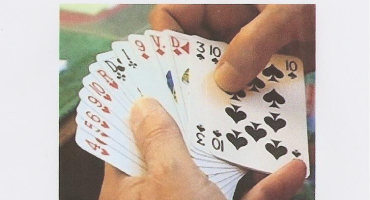 tournoi de cartes du 14 novembre 2026
