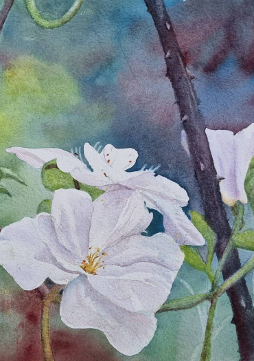 EAUX ET LAVIS 27
