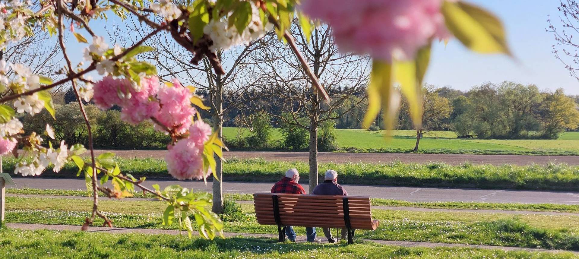 seniors à Magny