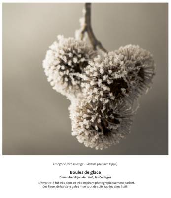 Boules de glace  