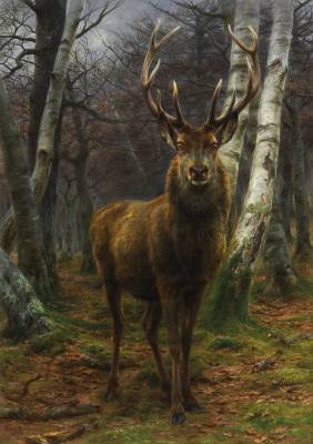 Rosa Bonheur