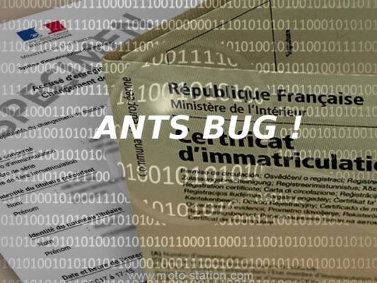 Bug ANTS
