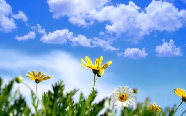 Printemps
