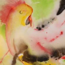 Installation de l'exposition Eaux et Lavis