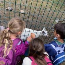 Zoo Attily