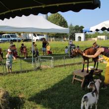 Une journée à la Ferme de Tiligolo, à Magny-les-Hameaux