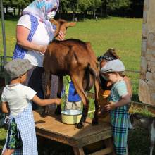 Une journée à la Ferme de Tiligolo, à Magny-les-Hameaux