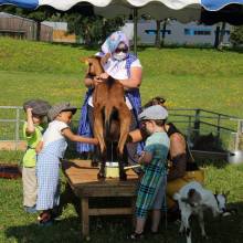 Une journée à la Ferme de Tiligolo, à Magny-les-Hameaux