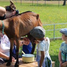 Une journée à la Ferme de Tiligolo, à Magny-les-Hameaux