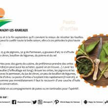 Pesto d'orties