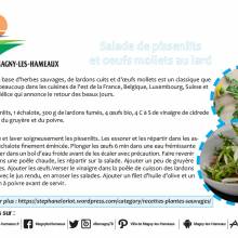 Salade de pissenlits et œufs mollet au lard