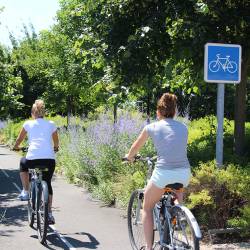 Piste cyclable