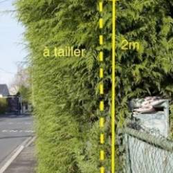 Taillez vos haies