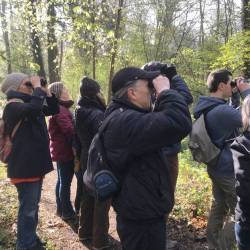Sortie LPO sur Magny-les-hameaux