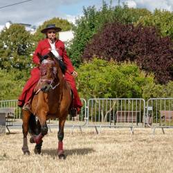 Recreation Equestre