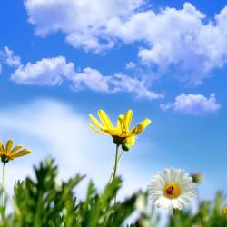 Printemps
