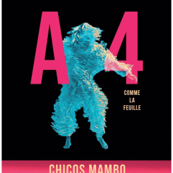 AFFICHE A4