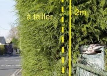 Taillez vos haies