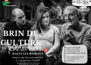 Brin de culture