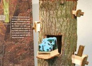 Hector l'arbre mort
