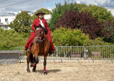 Recreation Equestre