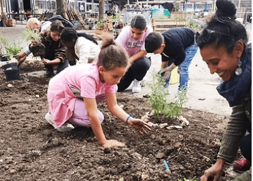 agri urbaine