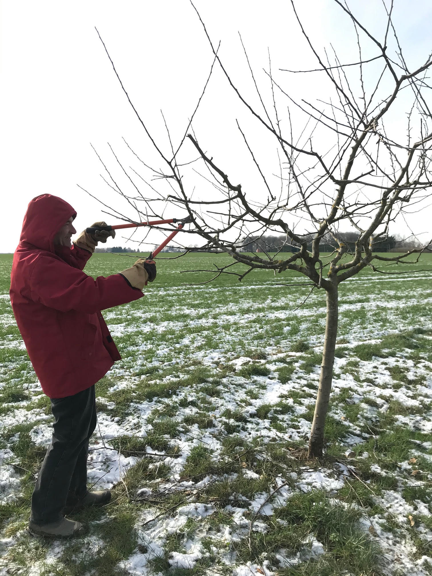 Allée Des Pommiers Magny Les Hameaux