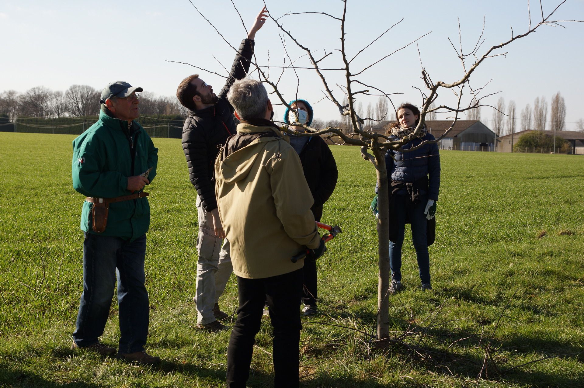 Allée Des Pommiers Magny Les Hameaux Taille des arbres fruitiers - allée des pommiers à Brouessy | Magny-les- Hameaux
