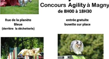 Concours annuel d'agility