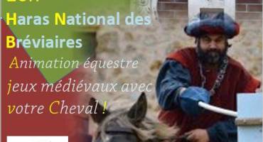 Jeux médiévaux au Haras