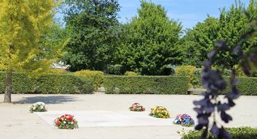 Jardin public Nelson Mandela