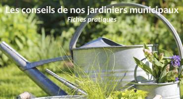 Conseils des jardiniers