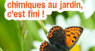 Produits chimiques interdits