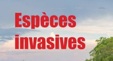 Espèces invasives