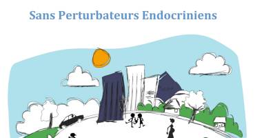 « Villes et territoires sans perturbateurs endocriniens »