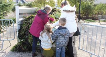 distribution de fleurs