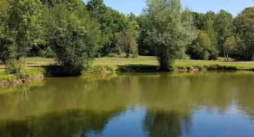 Etangs de pêche de Romainville