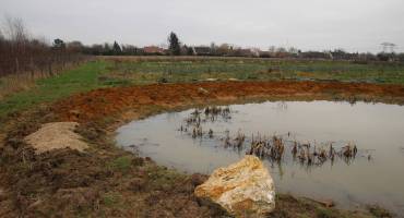 Mares : des zones de micro-habitats