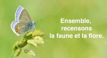 Ensemble, recensons la faune et la flore