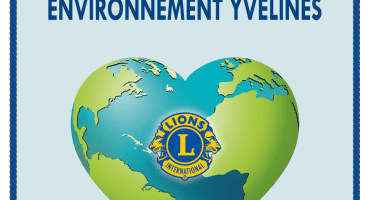 Fanion Lions Club Environnement Yvelines