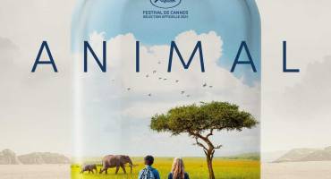 Affiche du film Animal